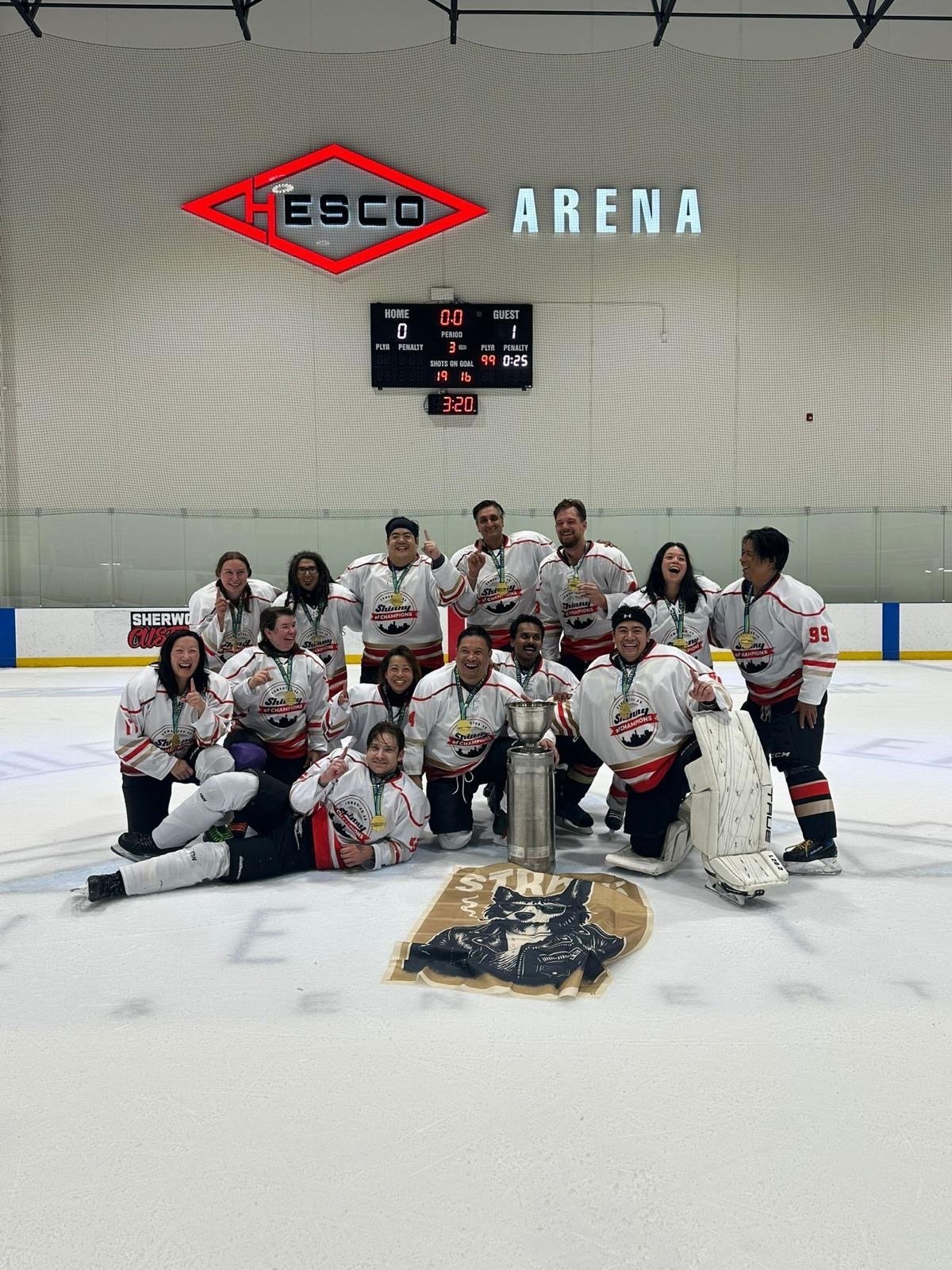 Beginner Adult Hockey Tournament Edmonton