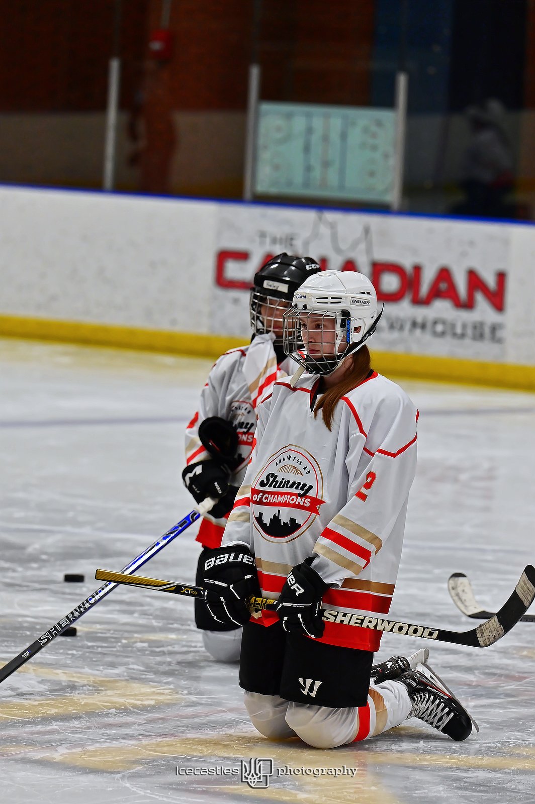 Learn to play hockey for adults | Edmonton Beginner Hockey Team