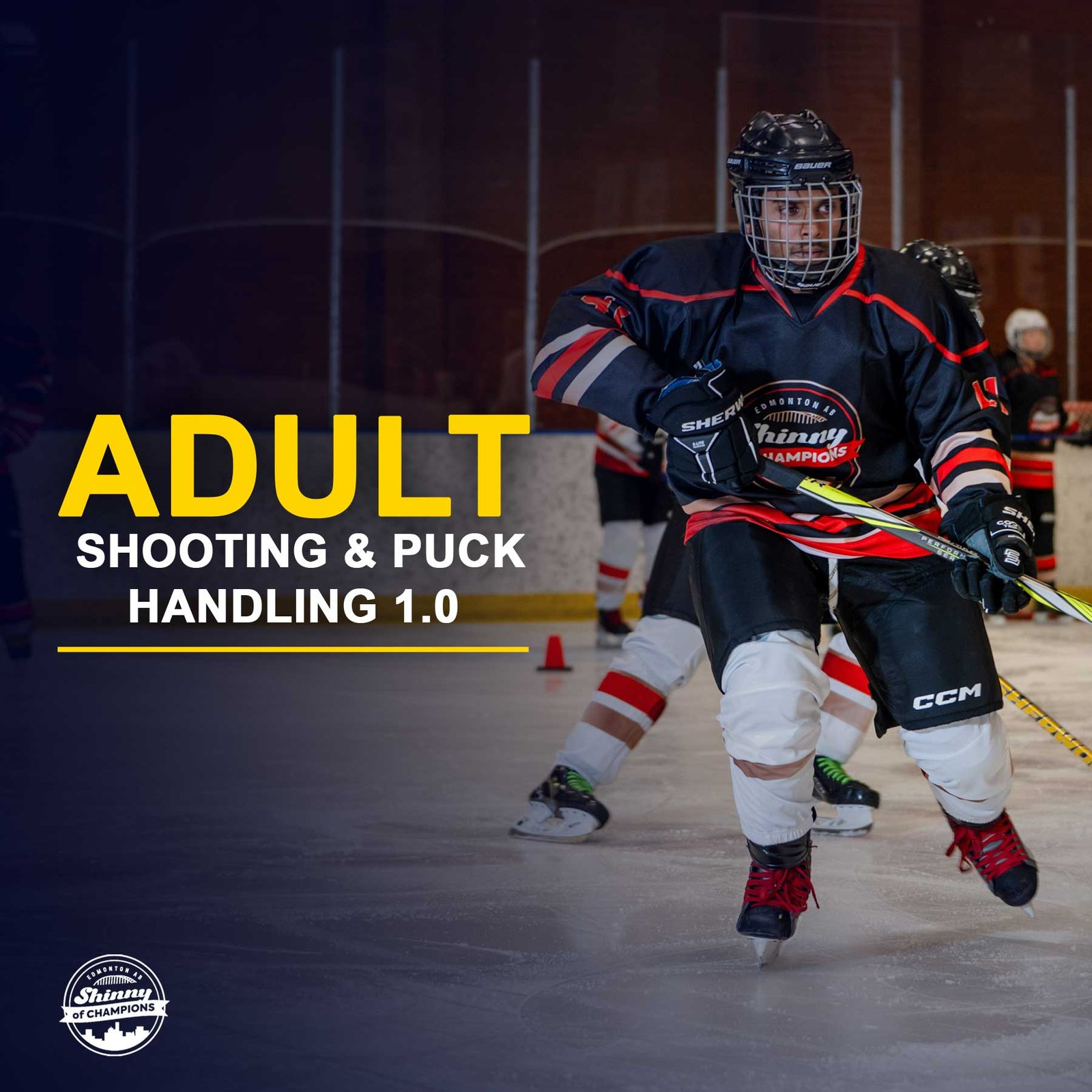 Shooting and Puck Handling