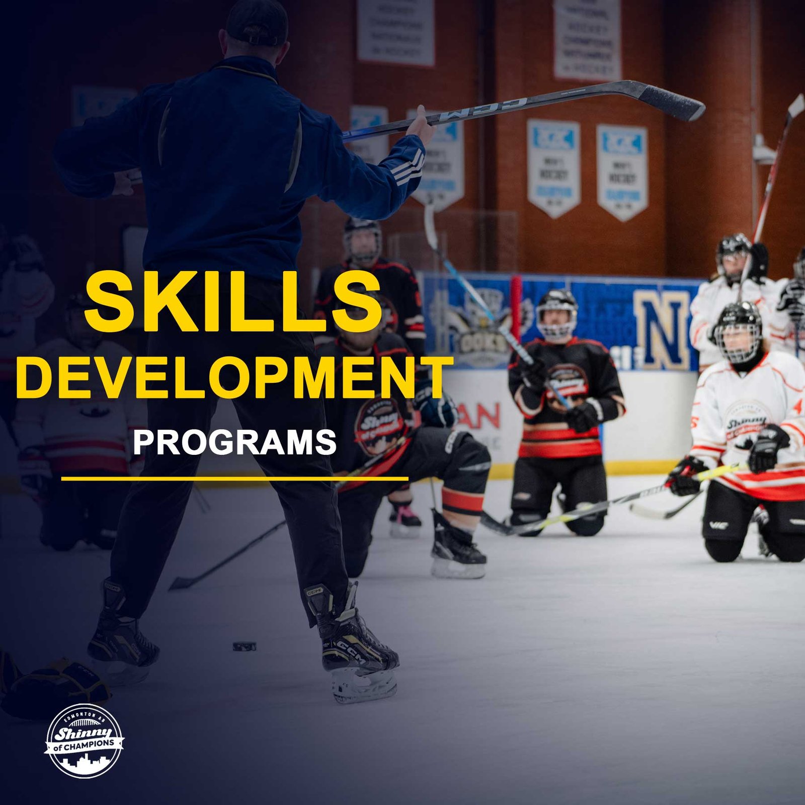 Skill Development