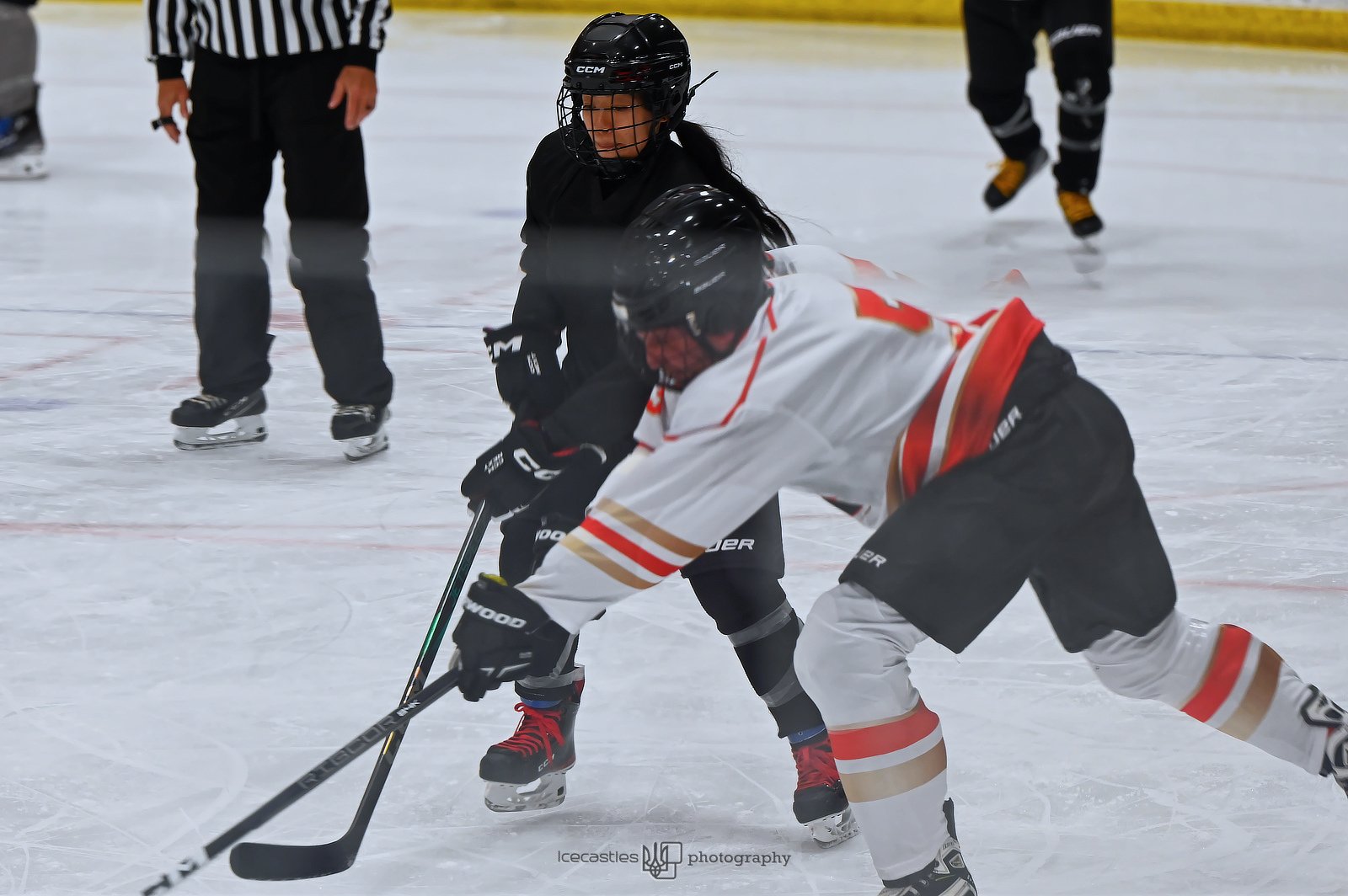 Adult hockey classes Edmonton - beginner shinny drop-in games