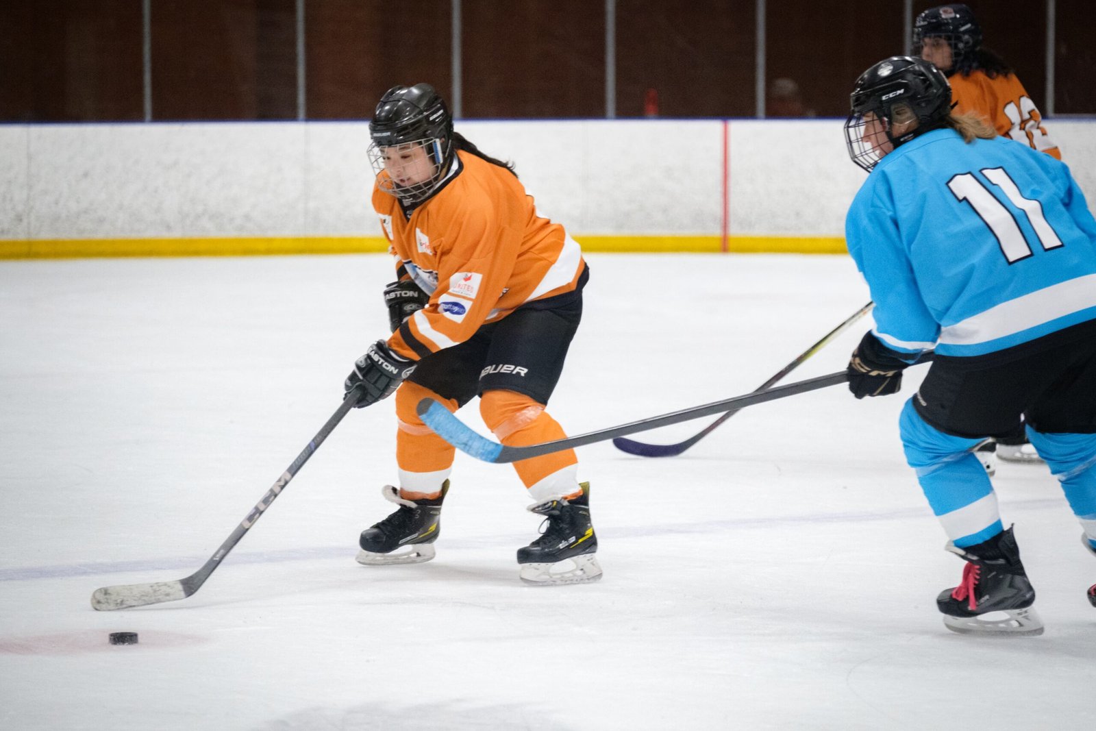 Shinny of Champions Adult Beginner Tournaments