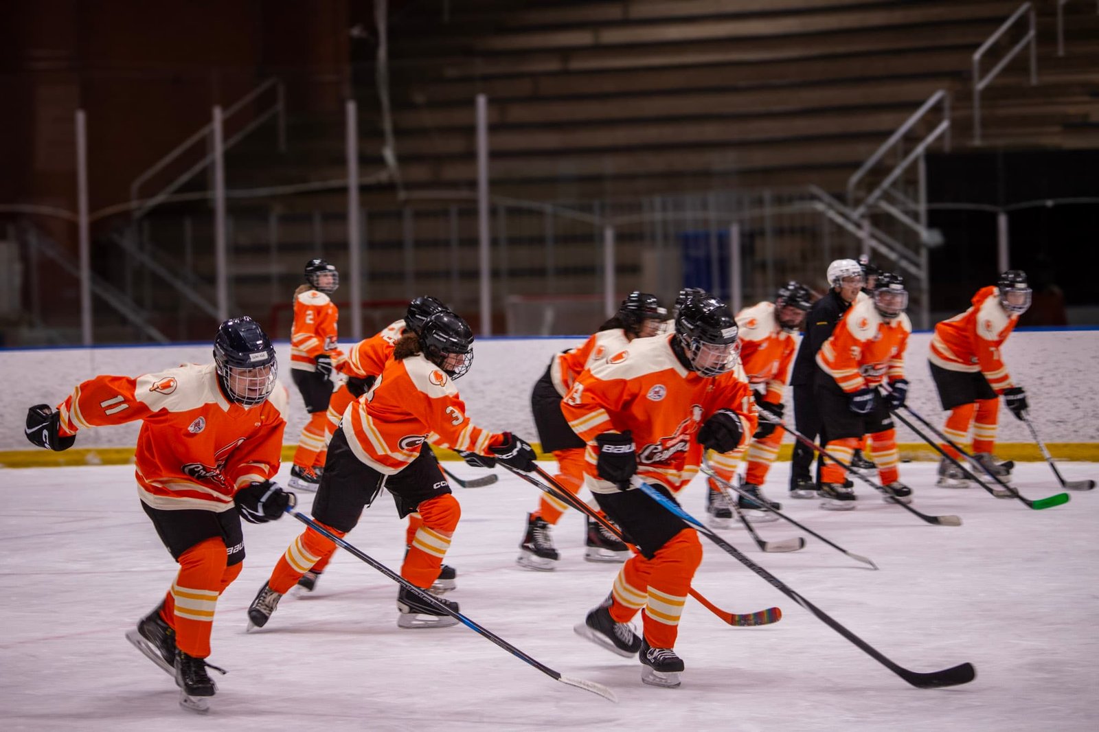 Shinny of Champions Beginner Hockey Adult Learn to Play